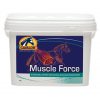 Cavalor Muscle Force (= Cavalor Muscle Build) 2 kg - podporuje rast svalov a zvyšuje silu Viac tu: https://www.happyhorse.sk/products/cavalor-muscle-force-cavalor-muscle-build-2-kg-podporuje-rast-svalov/